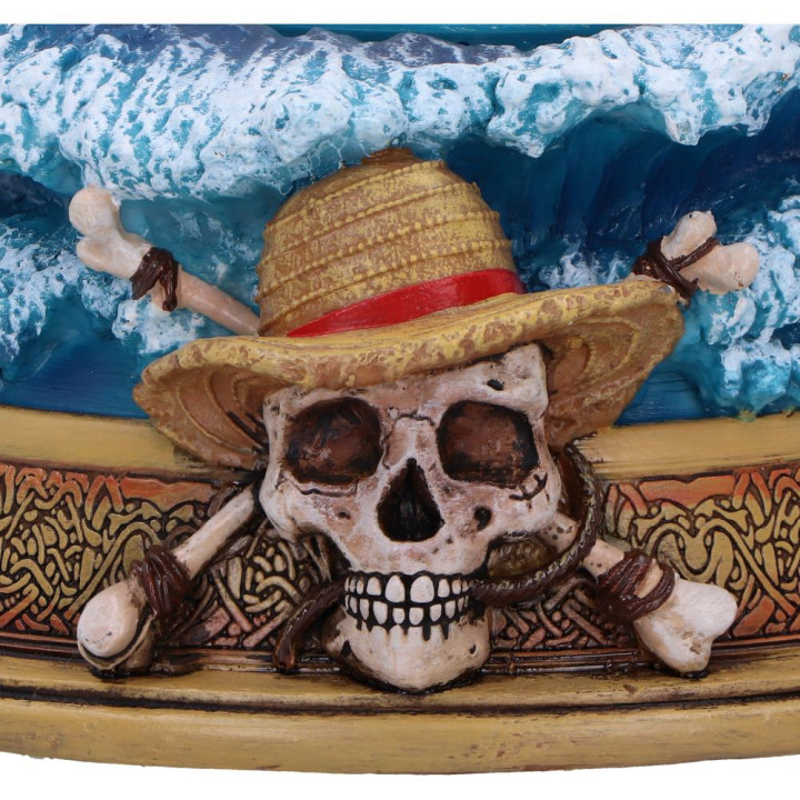 One Piece Going Merry Sno