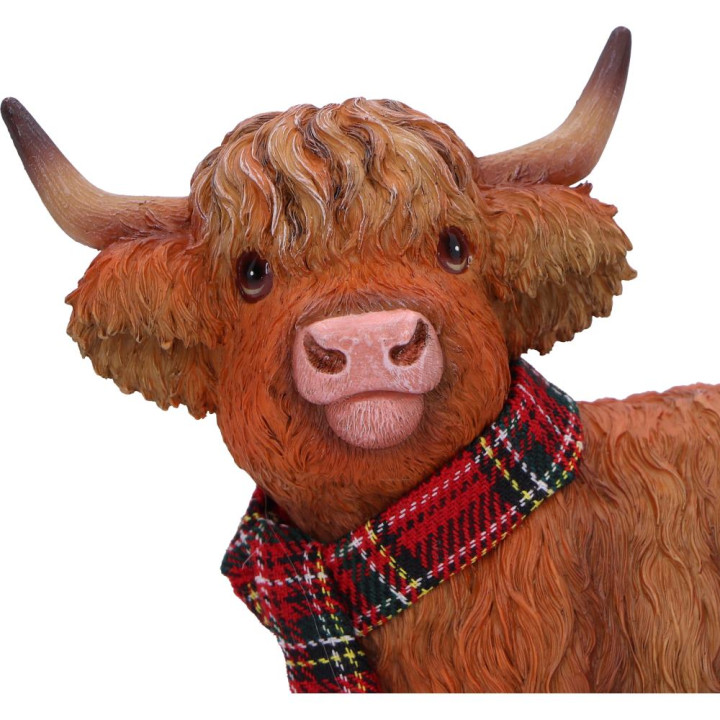 Highland Snug