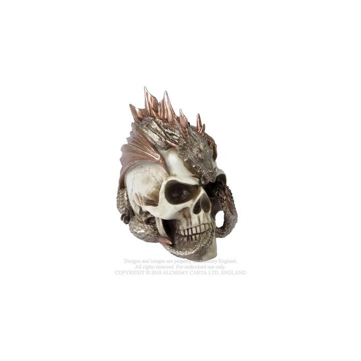 Dragon Keepers Skull