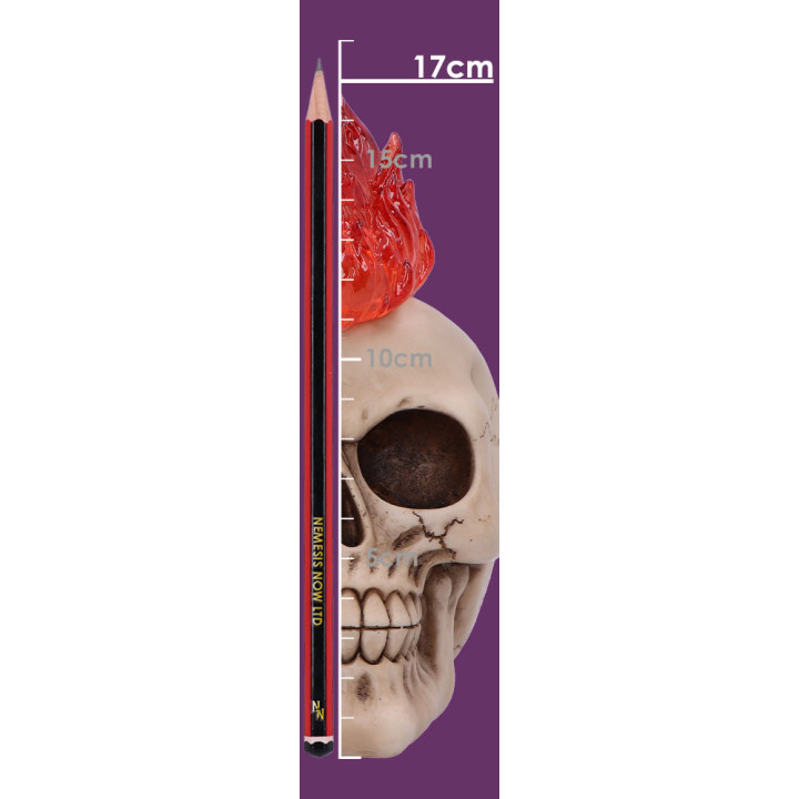 Hot-Headed 19cm