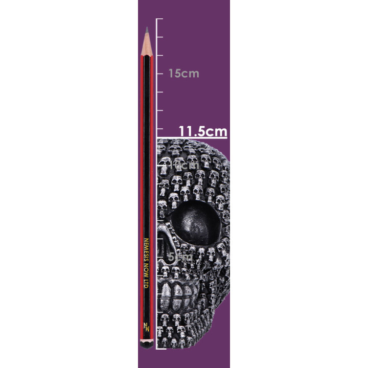 Crania 15cm