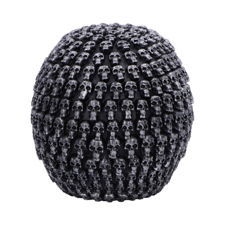Crania 15cm