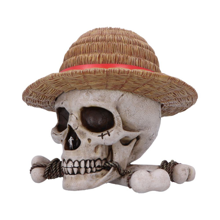 One Piece Luffy Jolly Rog