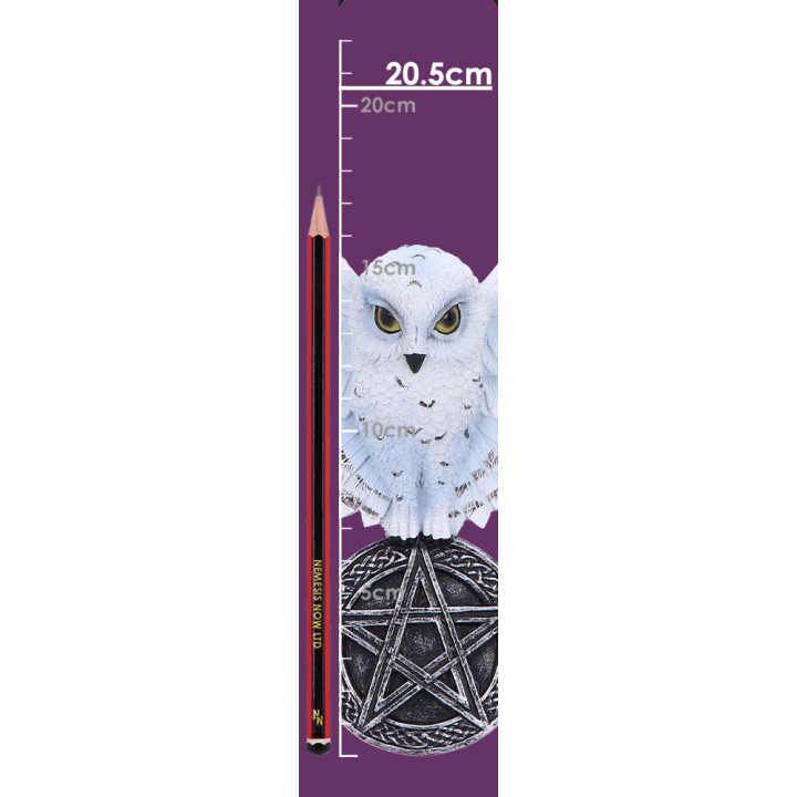 Owl Talisman 20.5cm