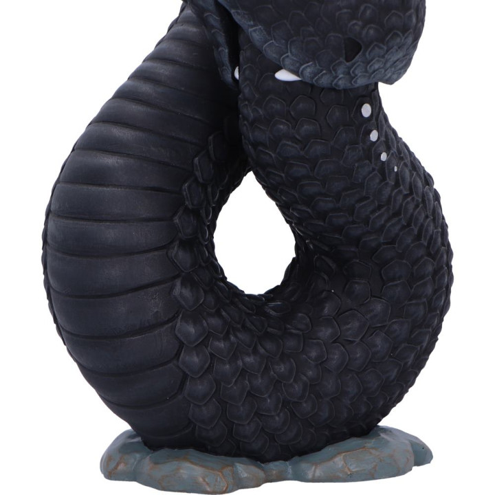 Ouroboros (Large)