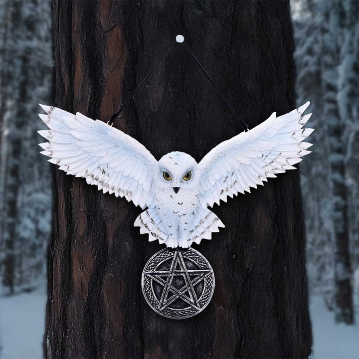 Owl Talisman 20.5cm