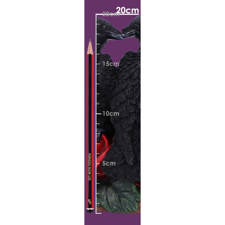 Raven Romance 20cm