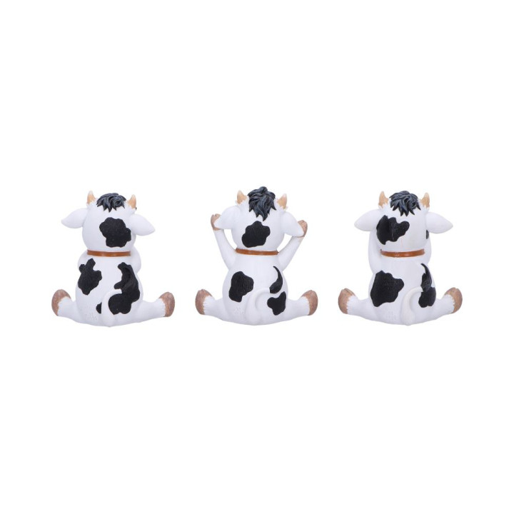 Three Wise Cows