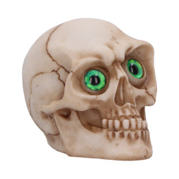 Eyes Wide Open (Green) 7c