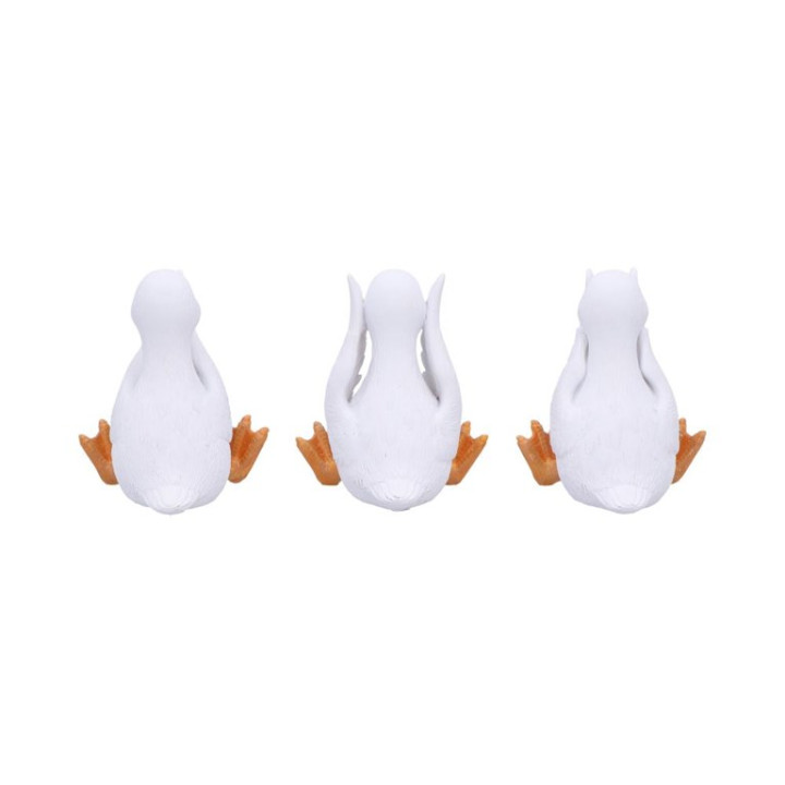 Three Wise Geese