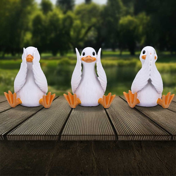 Three Wise Geese