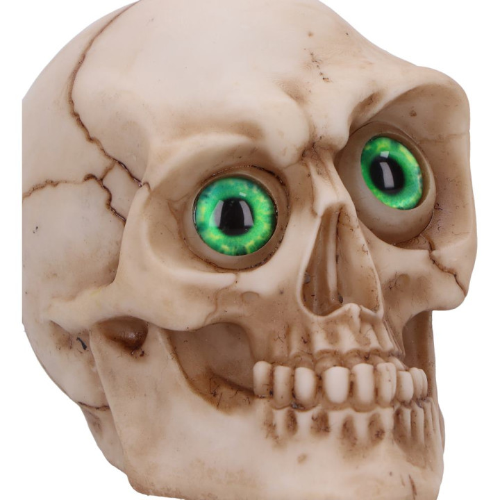 Eyes Wide Open (Green) 7c