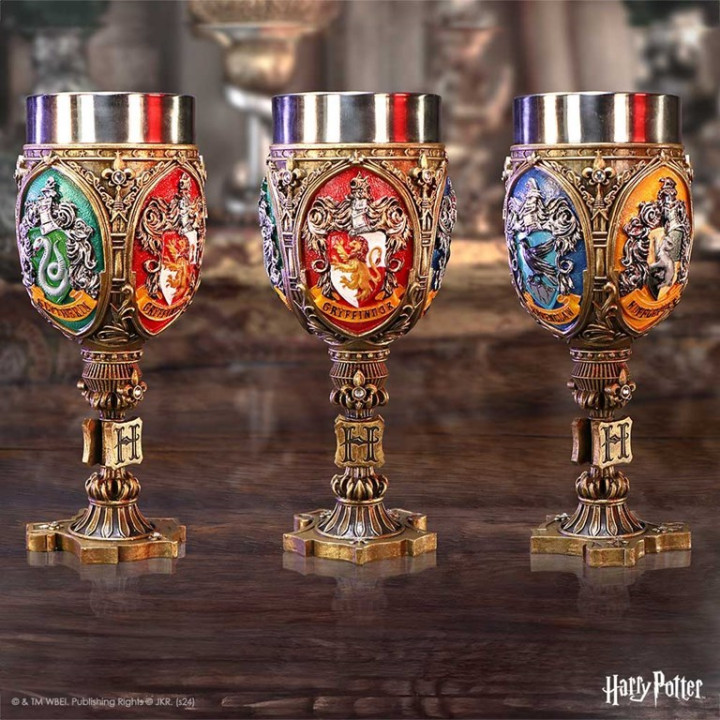 Harry Potter Four House C