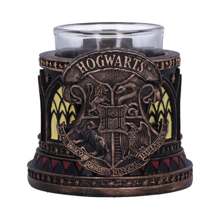 Harry Potter Gryffindor T