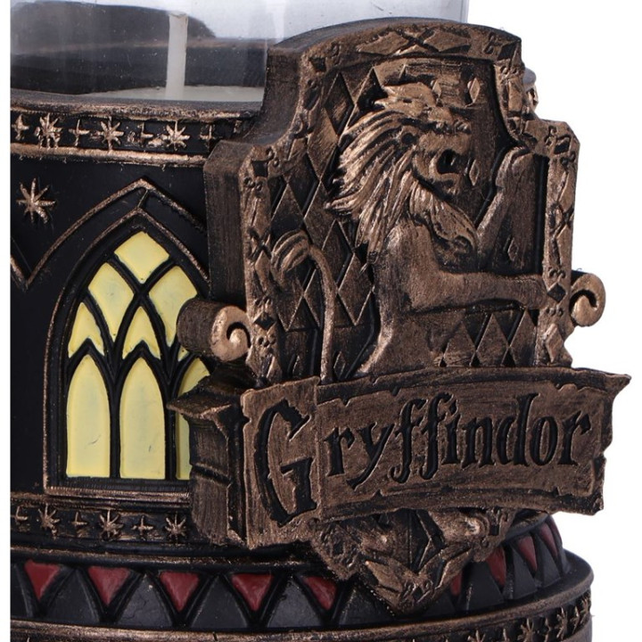 Harry Potter Gryffindor T