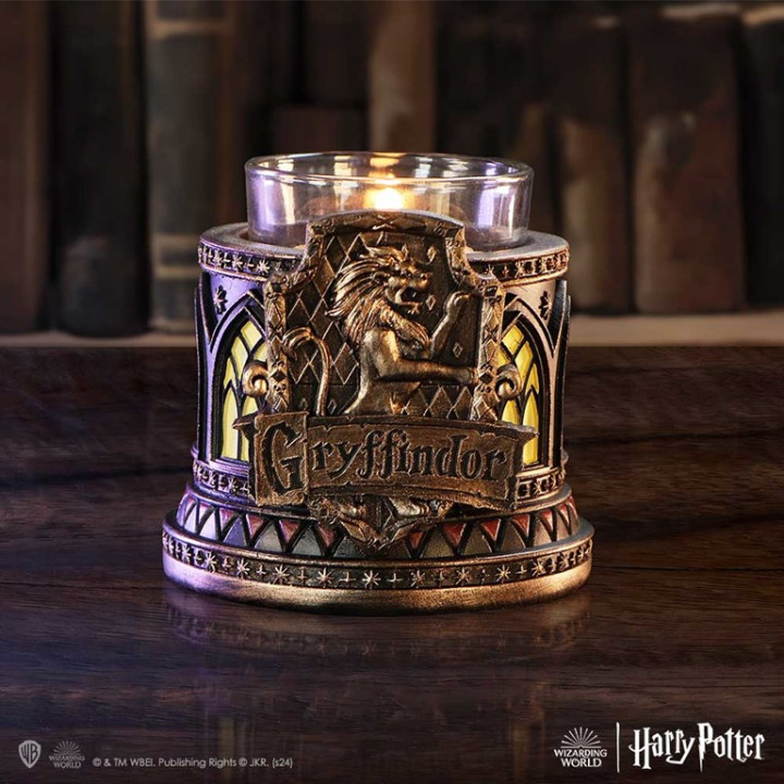 Harry Potter Gryffindor T