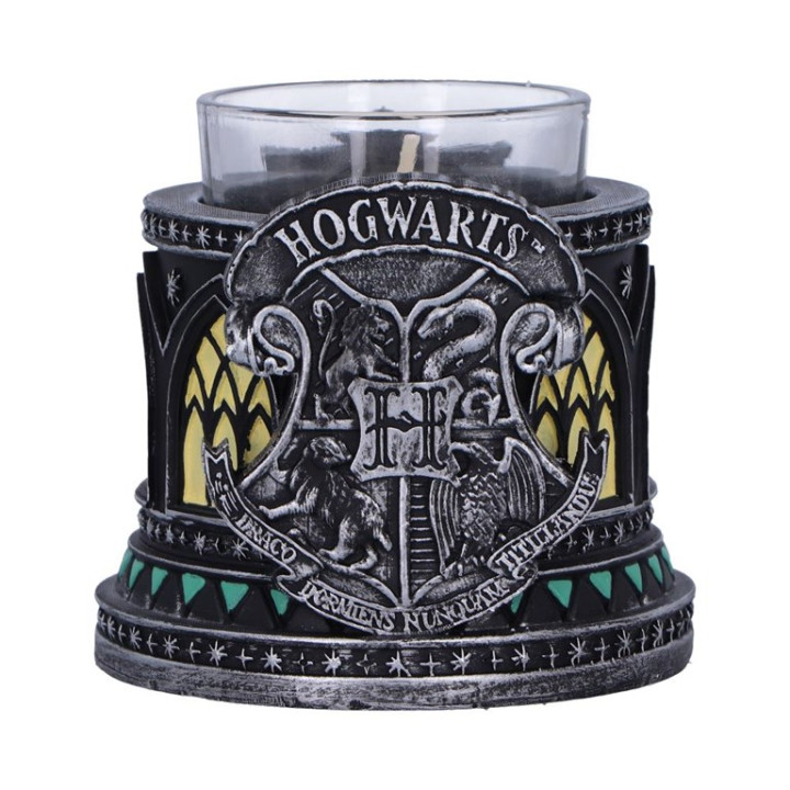 Harry Potter Slytherin Te