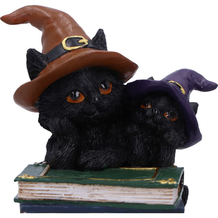 Duo Divination