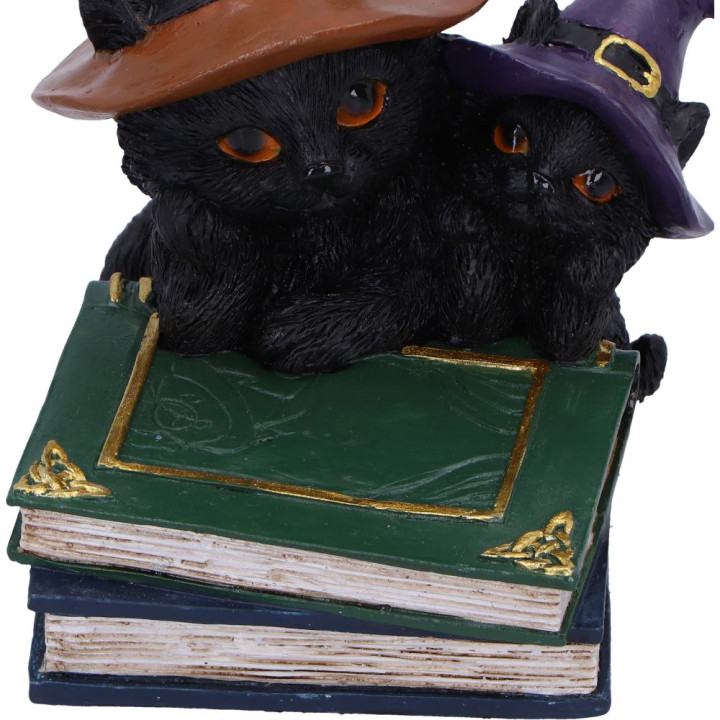 Duo Divination