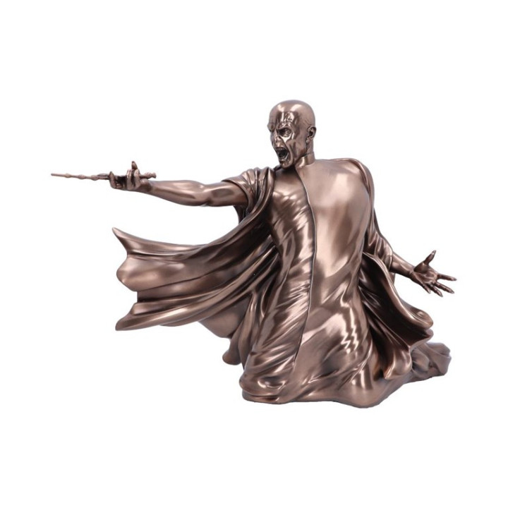 Harry Potter Voldemort Du