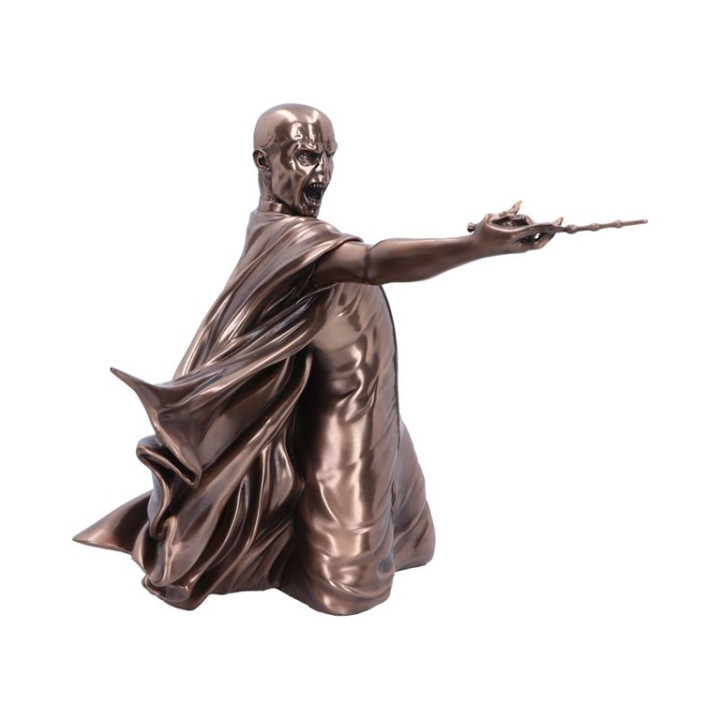 Harry Potter Voldemort Du