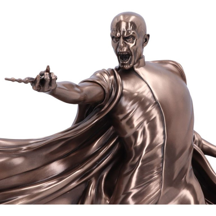 Harry Potter Voldemort Du