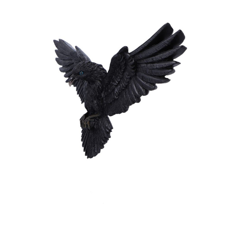 Flight of the Raven
