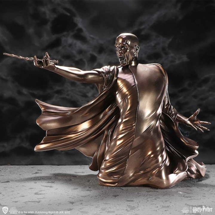 Harry Potter Voldemort Du