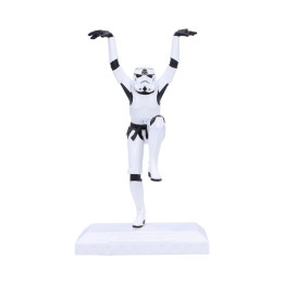 Stormtrooper Crane Kick 2
