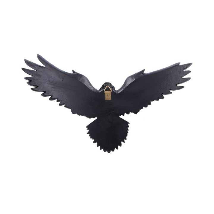 Flight of the Raven