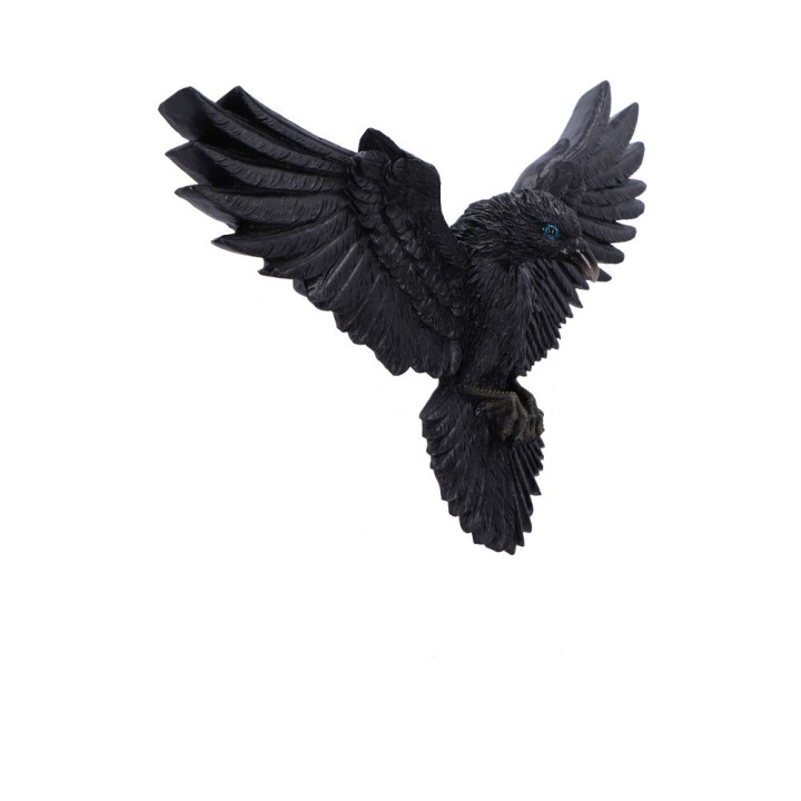 Flight of the Raven