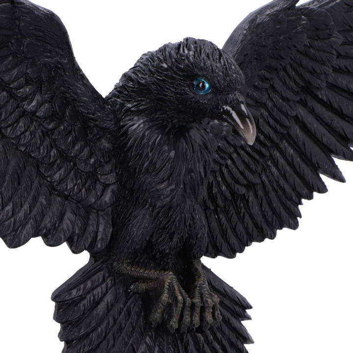 Flight of the Raven