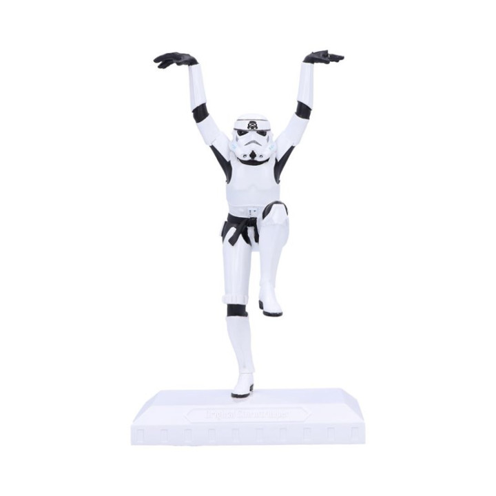 Stormtrooper Crane Kick 2