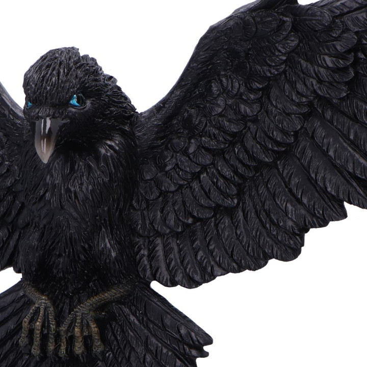 Flight of the Raven