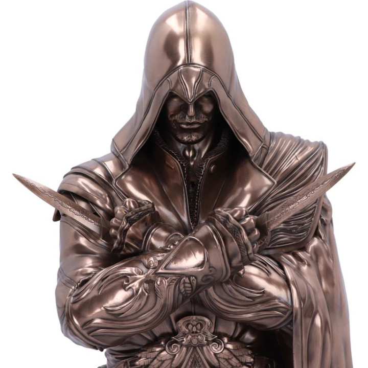 Assassins Creed® Ezio Bu
