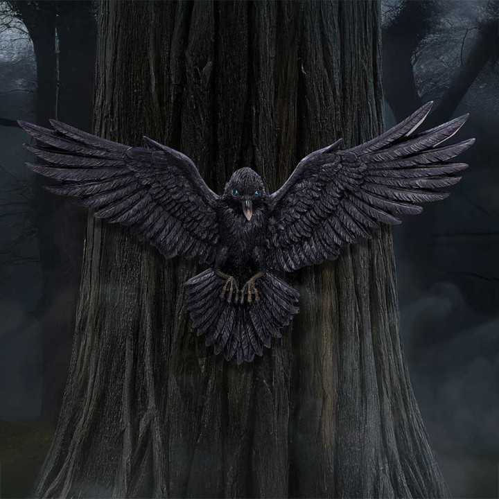 Flight of the Raven