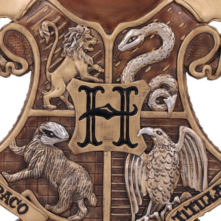 Harry Potter Dobby Booken