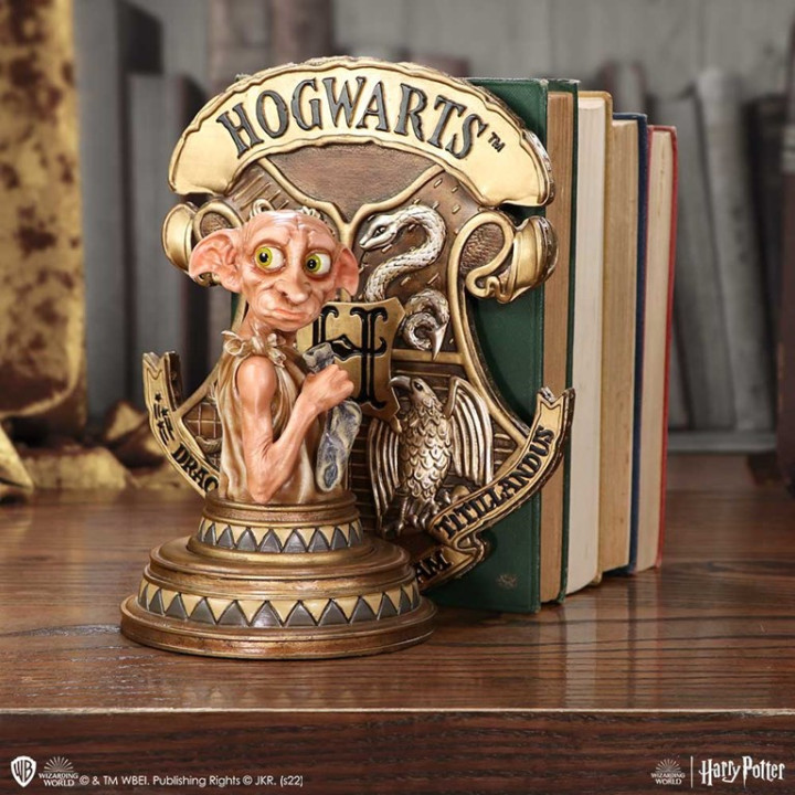 Harry Potter Dobby Booken