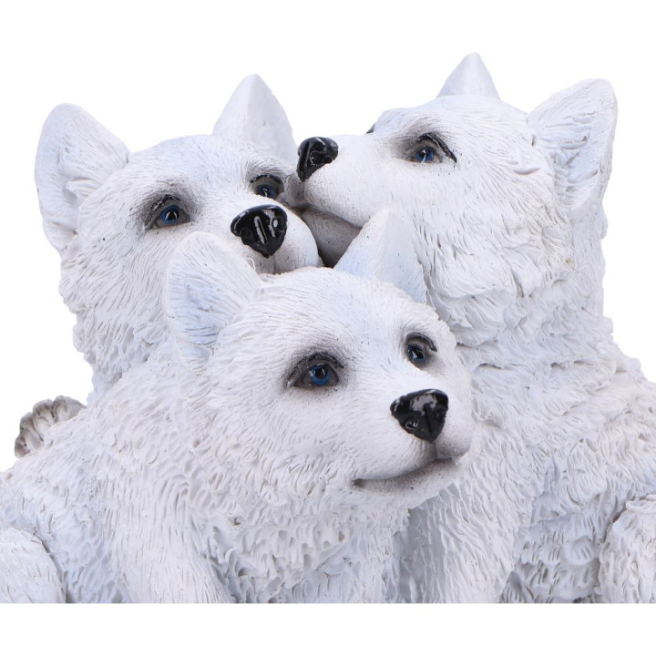 Cub Cuddle