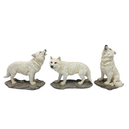 Série de 3 loups blancs 1