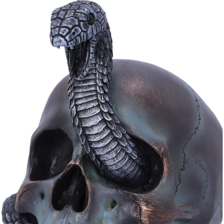 Serpentine Fate 19cm