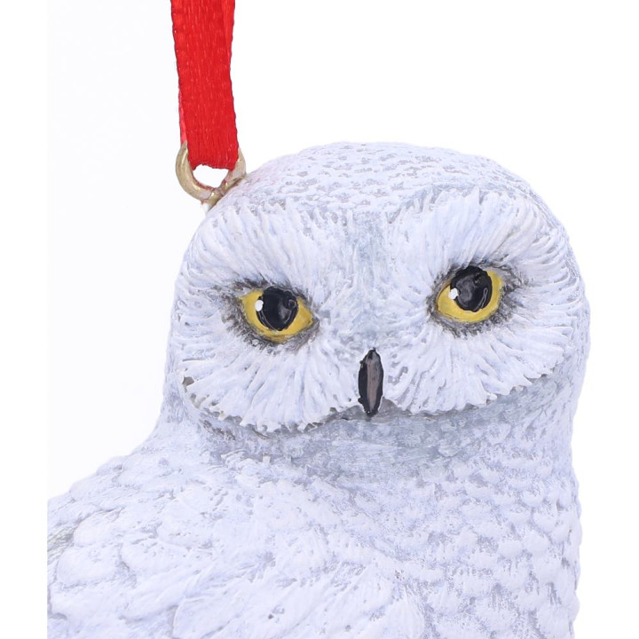 Harry Potter Hedwigs Res