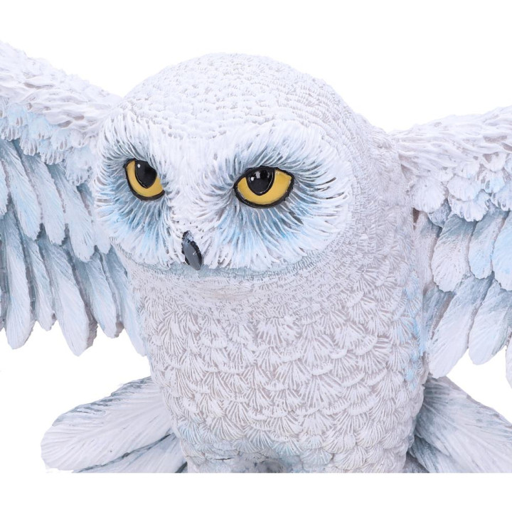 Harry Potter Hedwig Wall