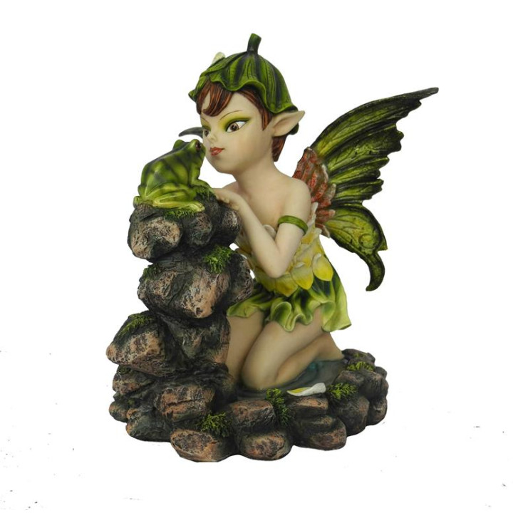 Fée pixie avec grenouille