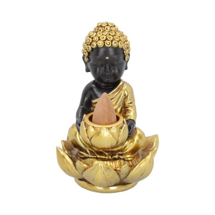Baby Buddha Backflow Ince