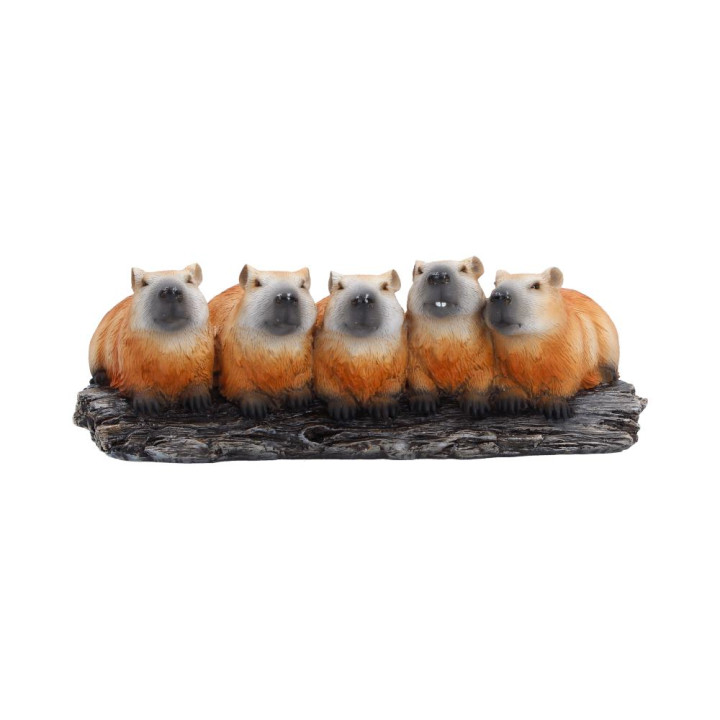 Capybara Herd