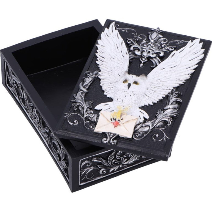 Owl Messenger Box