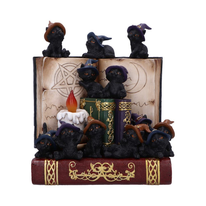 Coven Keepers (Display St