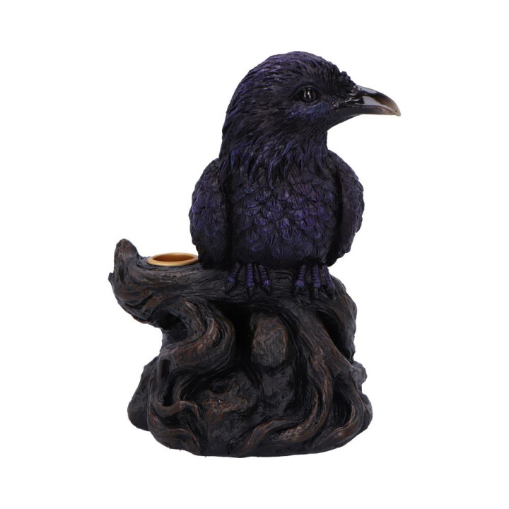 Raven Roost Backflow Ince