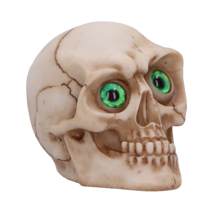 Eyes Wide Open (Green) 7c